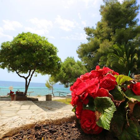 Maison La Mer Αγία Παρασκευή Εξωτερικό φωτογραφία